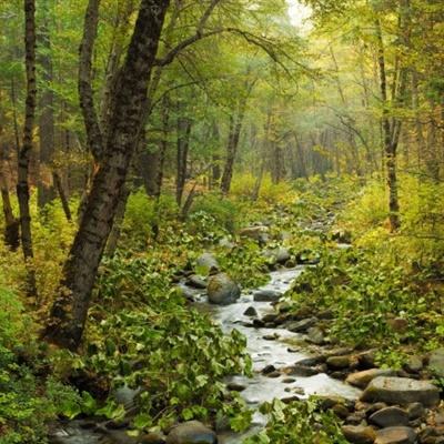 开元ky888vip手机app下载截图