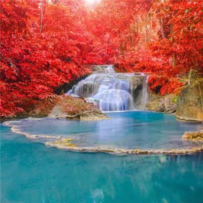 乐发彩票登录首页大厅截图